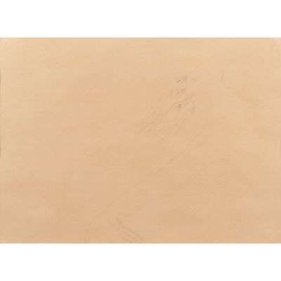 Storie di serpi, matita su carta