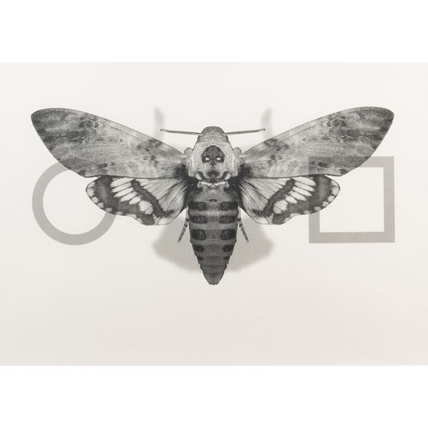 Alessandro Rosa - "For the light we live in light we die"