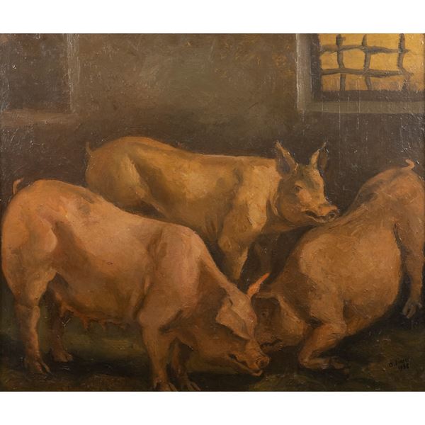 Alberto Ziveri - "Maiali"