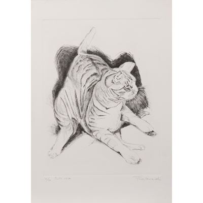 Gatto, puntasecca, es. 16/40