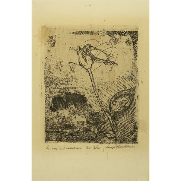 Luciano Bartolini - "La rosa e il calabrone"