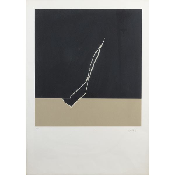 Ferruccio Bortoluzzi - "Senza titolo"