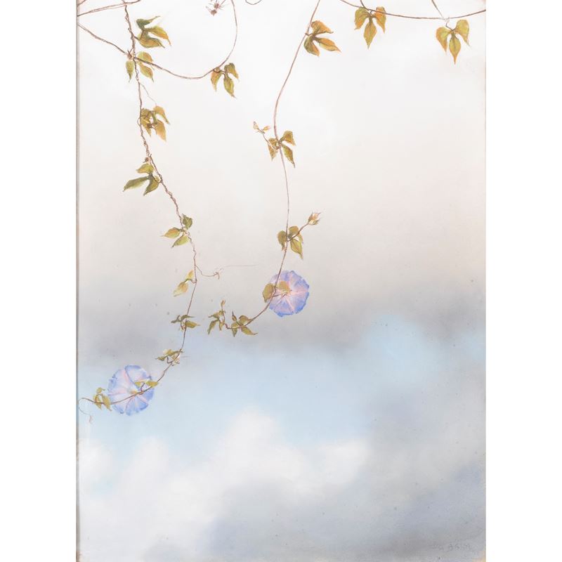 Elica Balla - Vivendo di cielo, pastelli su cartone