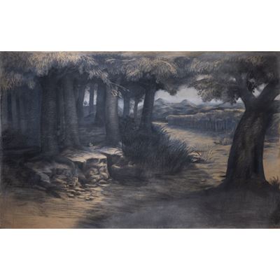 Bosco di Iside, carboncino su carta intelata