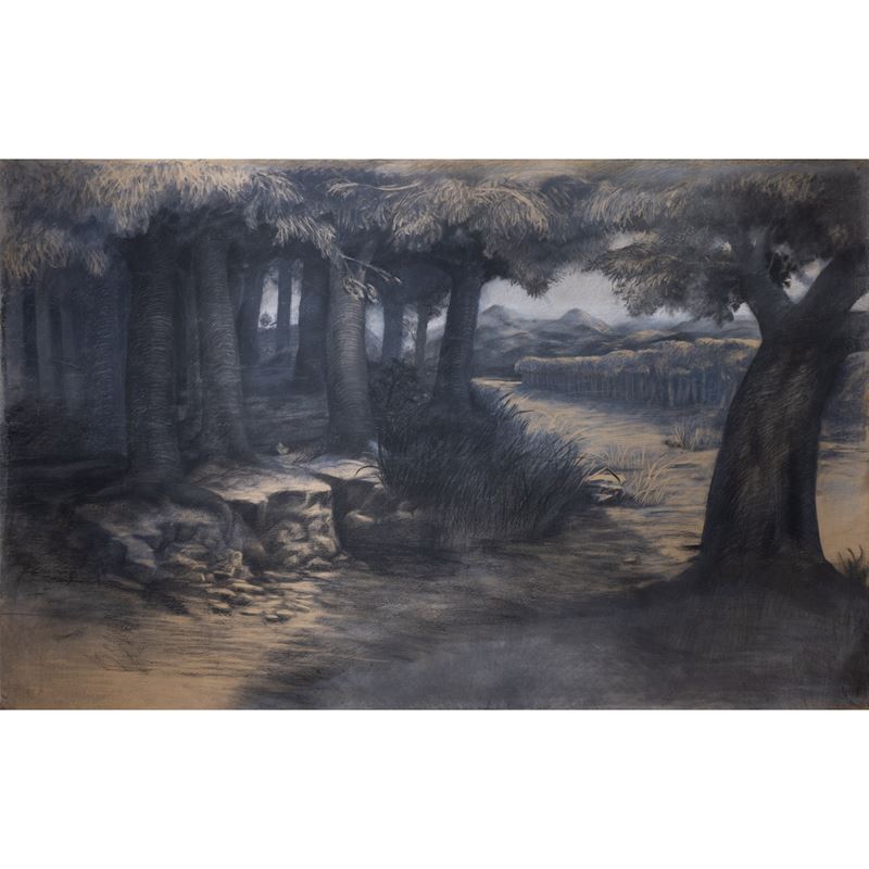 Marco Antonio Tanganelli - Bosco di Iside, carboncino su carta intelata