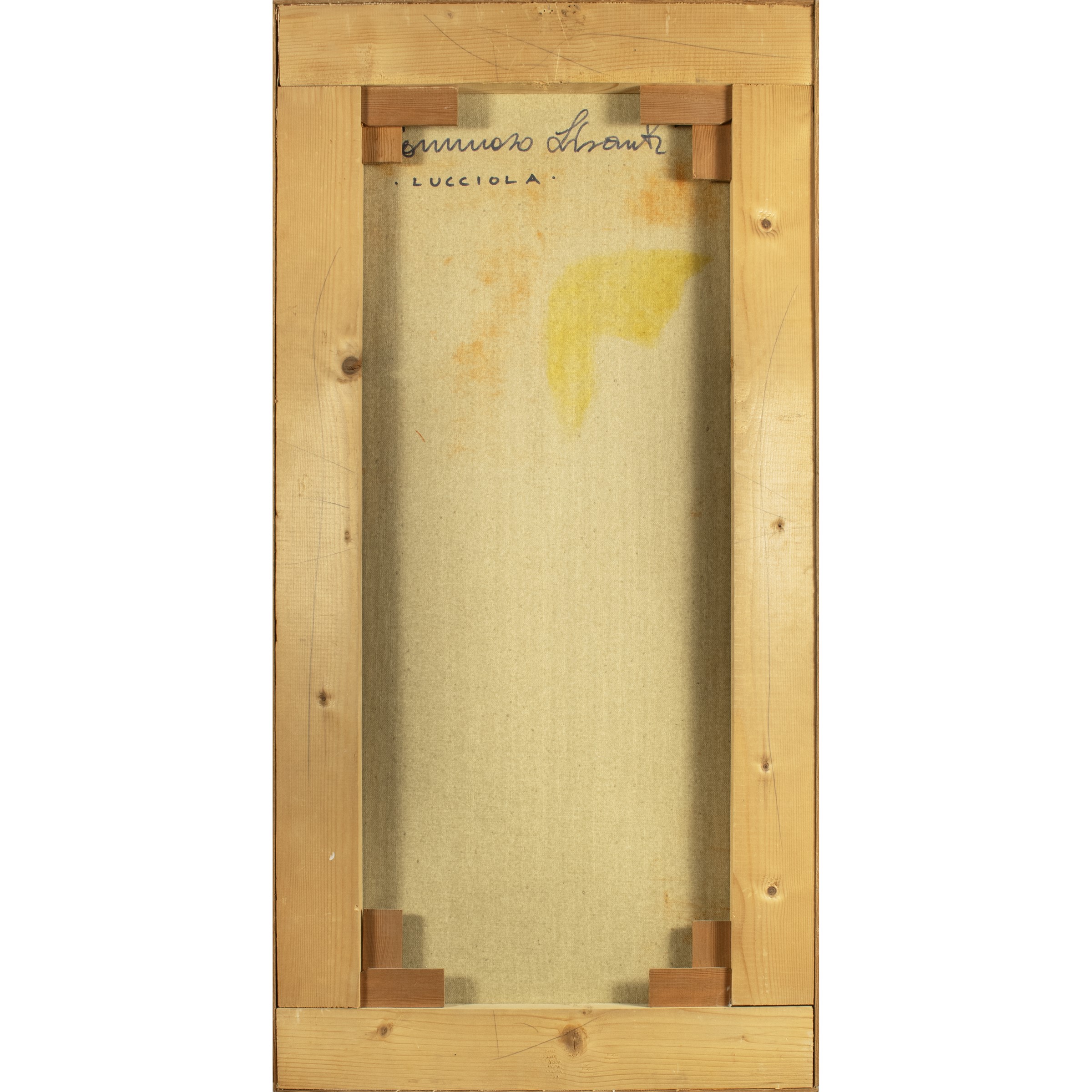Tommaso Lisanti - Lucciola, olio su tela