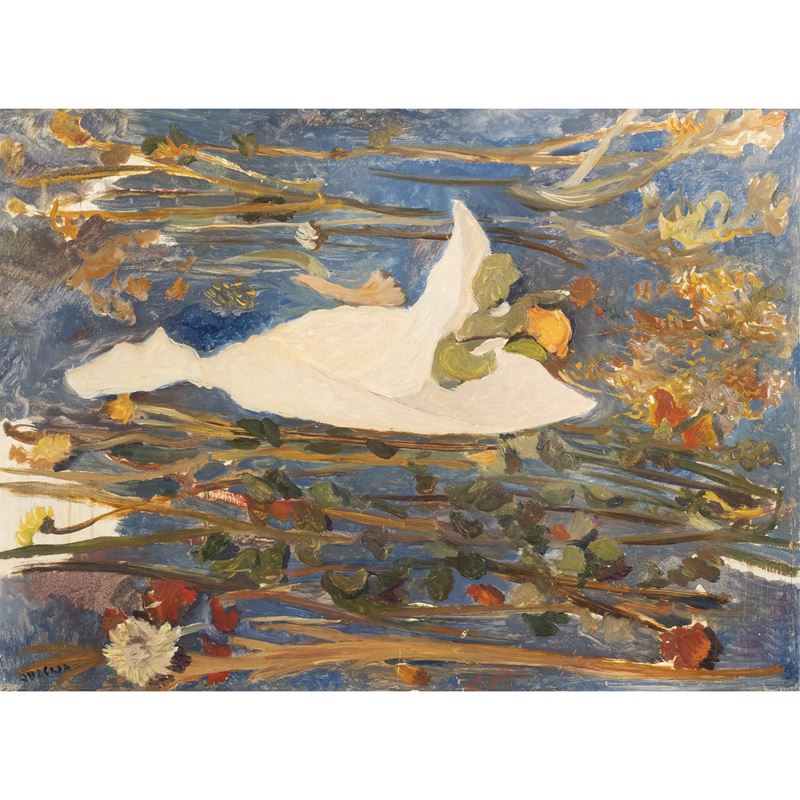 "Fiori sparsi su fondo azzurro"