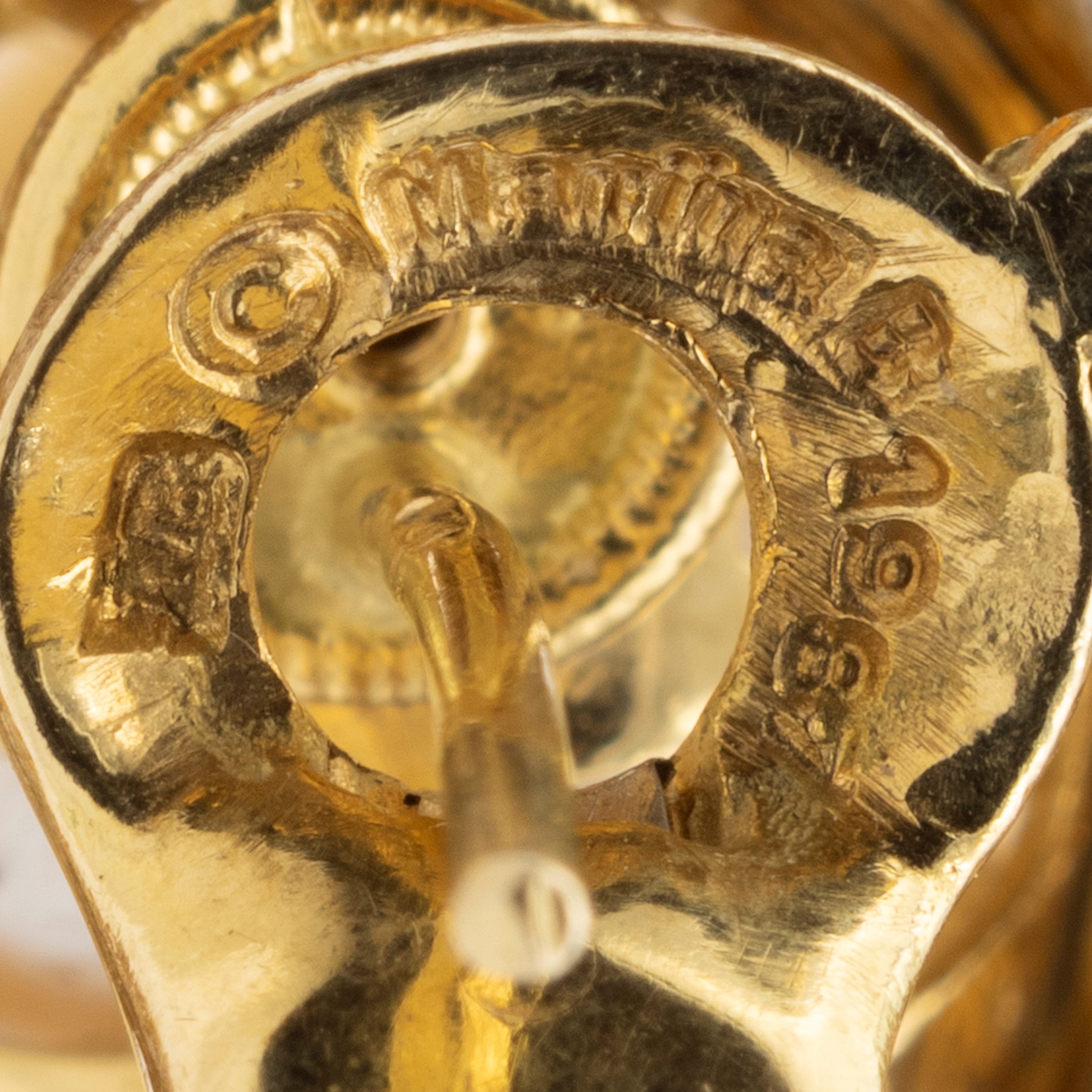 orecchini a lobo collezione Aigle