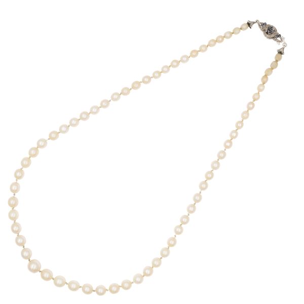 Collana ad un filo di perle coltivate con chiusura in oro bianco 18kt e zaffiri