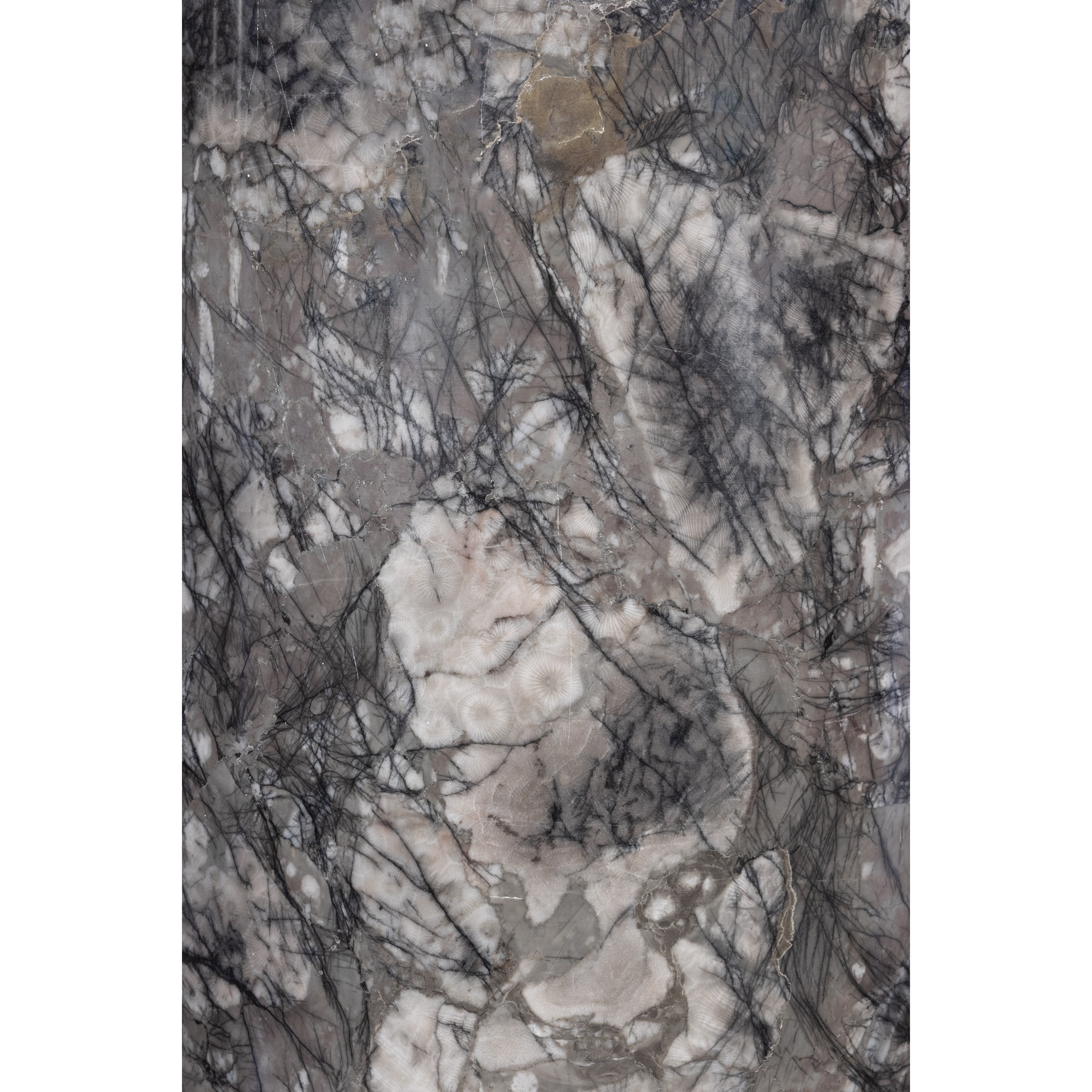 Coppia di colonne in marmo Bigio