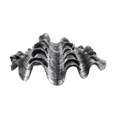 Conchiglia Rivestita in Argento