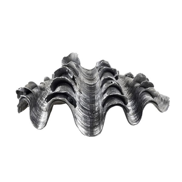 Silver coated shell