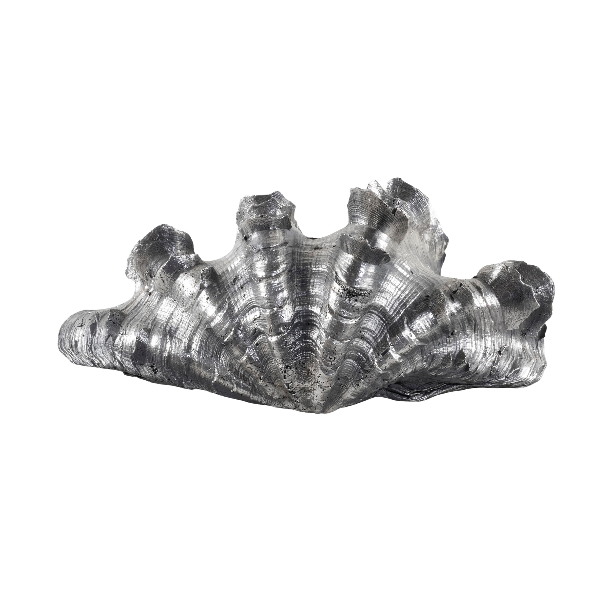 Conchiglia Rivestita in Argento