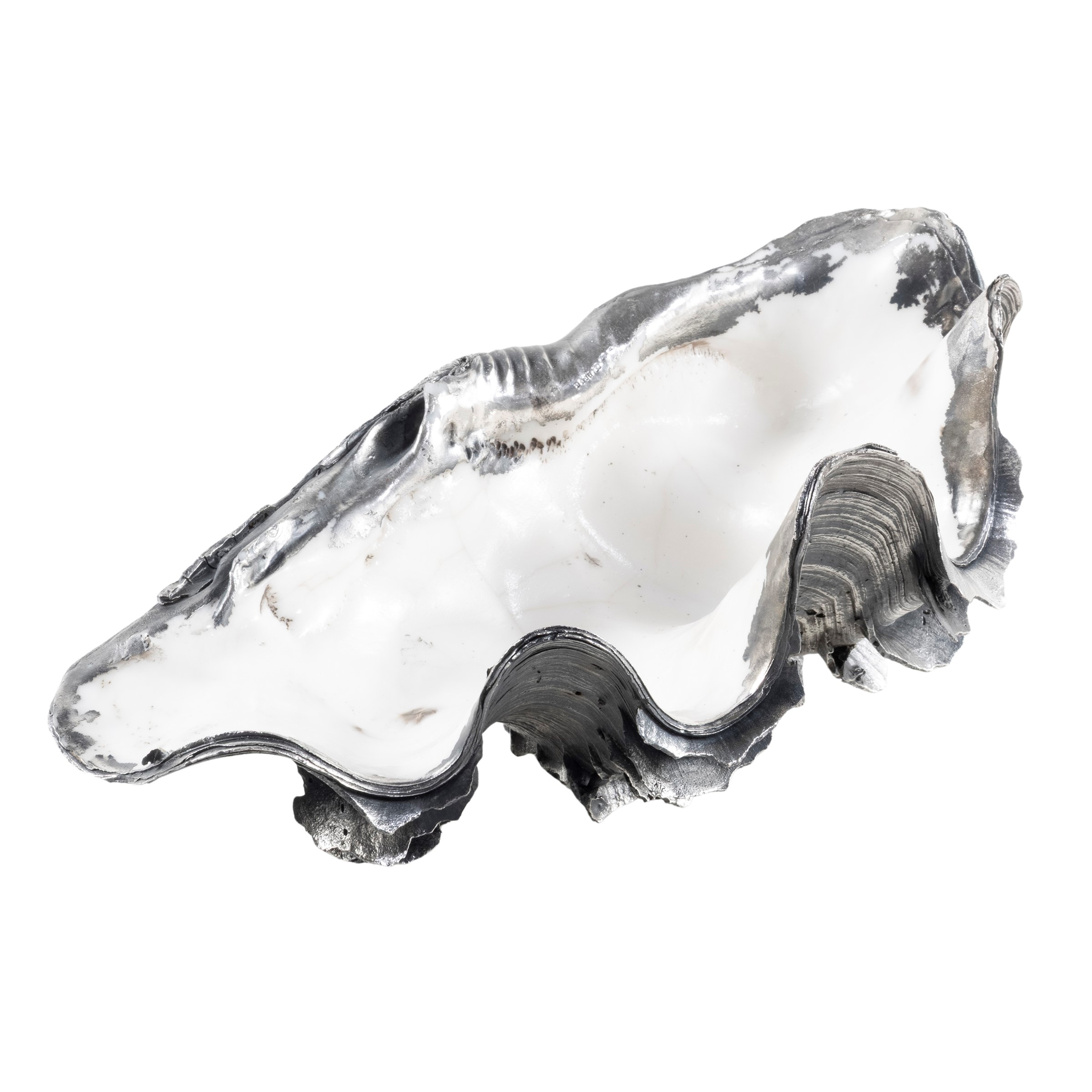 Conchiglia Rivestita in Argento