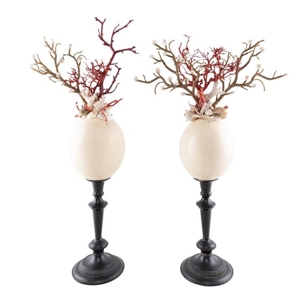 Pair of ostrich eggs