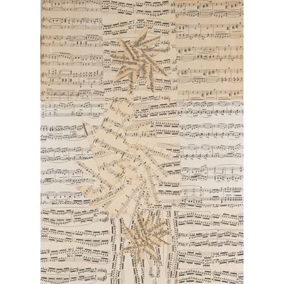 Musica di stelle (II versione)