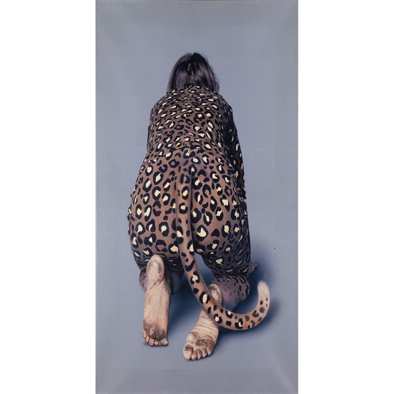 Karin Andersen - "cat Walk 2"