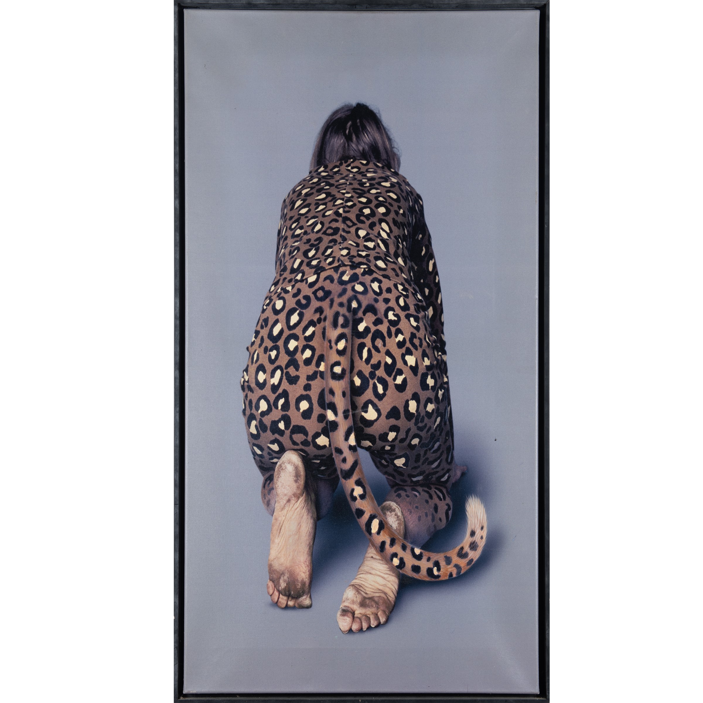 Karin Andersen - "cat Walk 2"