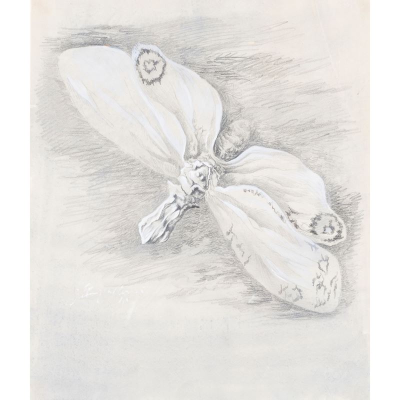 Fabrizio Clerici - "farfalla"