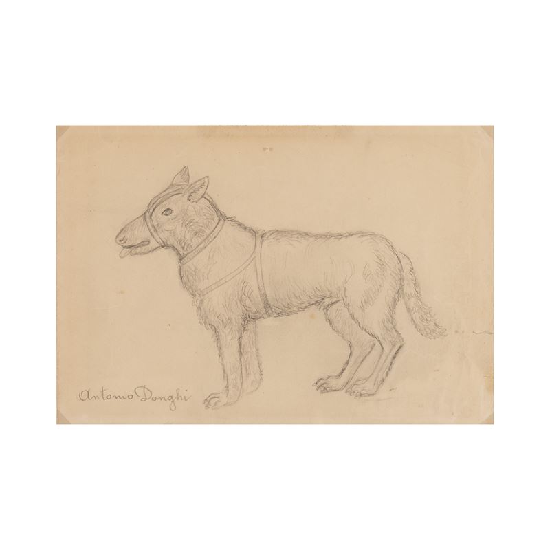 Antonio Donghi - "cane"