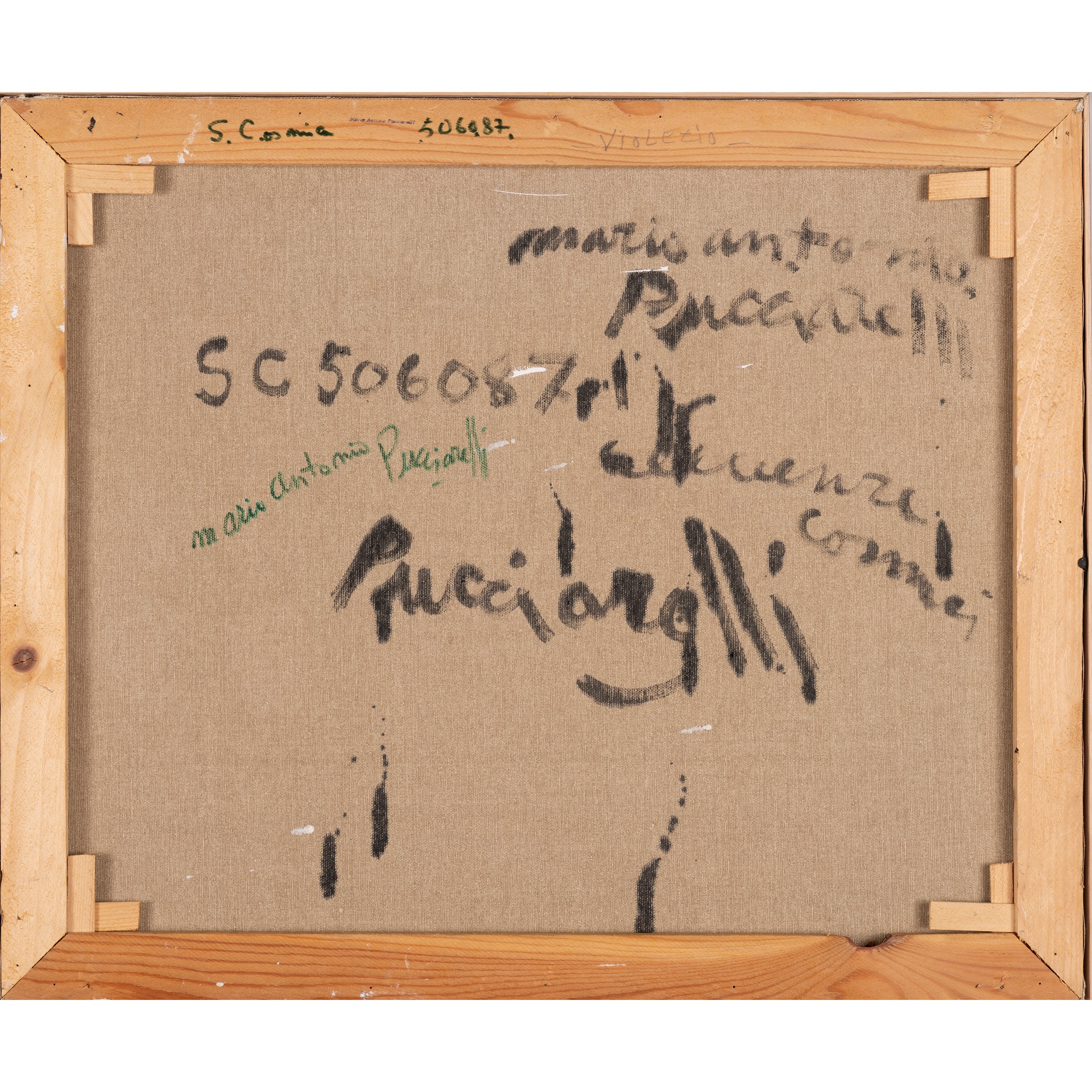 Mario Antonio Pucciarelli - "cosmici"