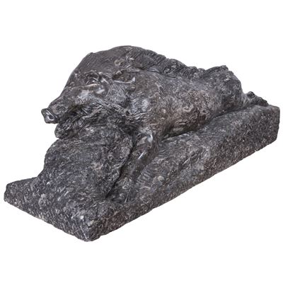 'cinghiale Ferito'
