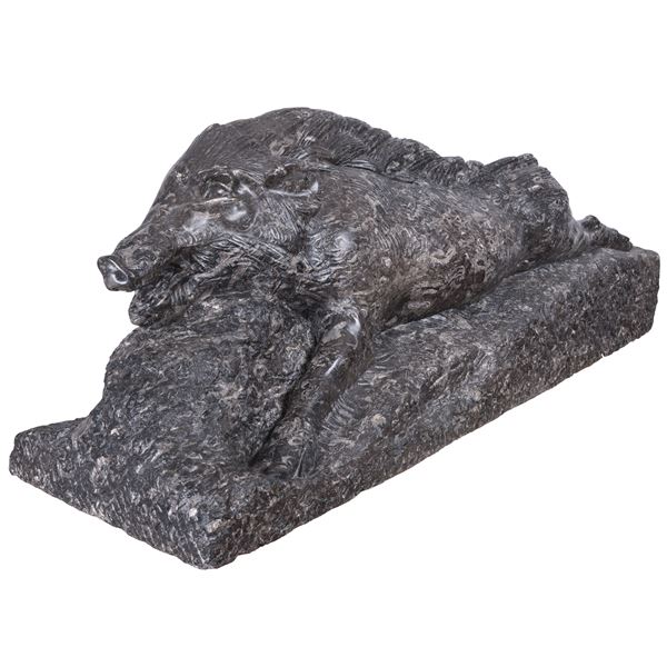 'Cinghiale ferito'